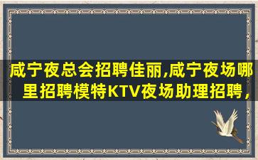 安徽酒吧招聘